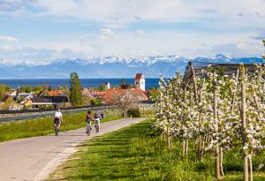 Unterwegs-mit-dem-Fahrrad-am-Bodensee.jpg