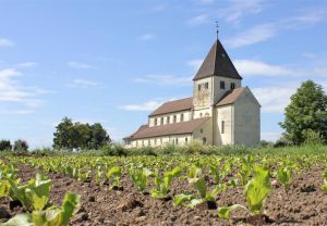 St.-Georg-auf-der-Insel-Reichenau,-die-groesste-Insel-im-Bodensee.jpg